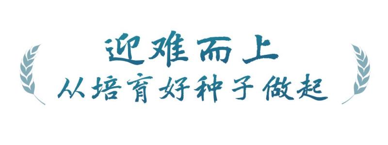 春事看农桑丨播下好种子，丰收有底气