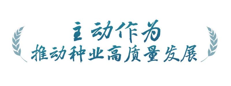 春事看农桑丨播下好种子，丰收有底气