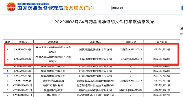 沃森生物二价HPV疫苗获批 同步开发治疗性疫苗