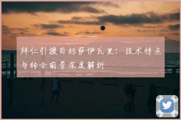 拜仁引援目标萨伊瓦里:技术特点与转会前景深度解析